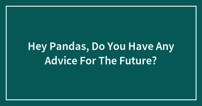 Hey Pandas, Do You Have Any Advice For The Future? (Closed)