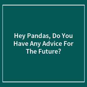 Hey Pandas, Do You Have Any Advice For The Future? (Closed)