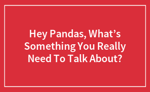 Hey Pandas, What’s Something You Really Need To Talk About? (Closed)