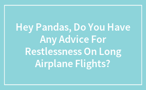 Hey Pandas, Do You Have Any Advice For Restlessness On Long Airplane Flights? (Closed)