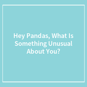 Hey Pandas, What Is Something Unusual About You?