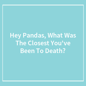 Hey Pandas, What Was The Closest You've Been To Death?