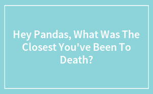 Hey Pandas, What Was The Closest You've Been To Death?