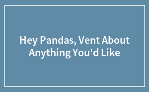 Hey Pandas, Vent About Anything You'd Like (Closed)