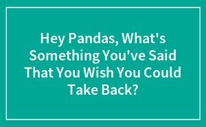 Hey Pandas, What's Something You've Said That You Wish You Could Take Back? (Closed)