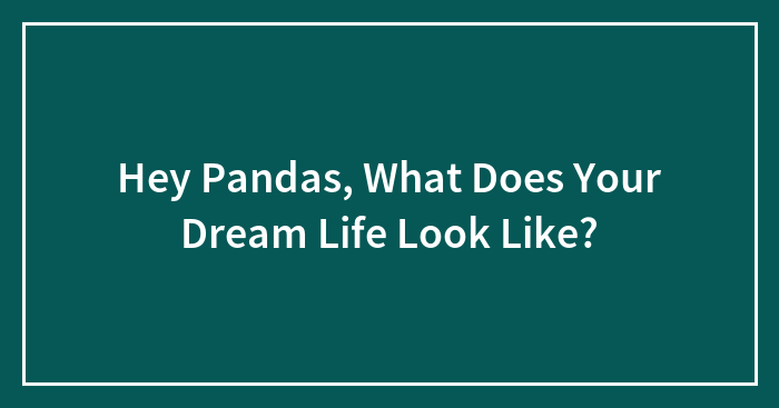 Hey Pandas, What Does Your Dream Life Look Like? (Closed)