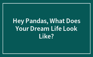 Hey Pandas, What Does Your Dream Life Look Like? (Closed)