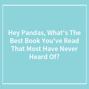 Hey Pandas, What's The Best Book You've Read That Most Have Never Heard Of? (Closed)