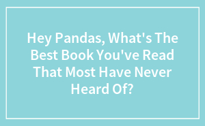 Hey Pandas, What's The Best Book You've Read That Most Have Never Heard Of? (Closed)