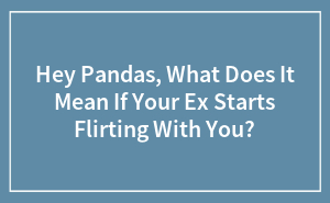 Hey Pandas, What Does It Mean If Your Ex Starts Flirting With You? (Closed)