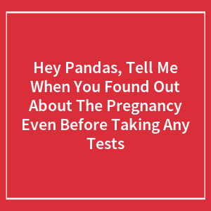 Hey Pandas, Tell Me When You Found Out About The Pregnancy Even Before Taking Any Tests (Closed)