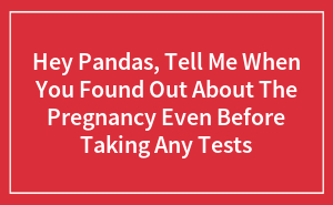 Hey Pandas, Tell Me When You Found Out About The Pregnancy Even Before Taking Any Tests (Closed)