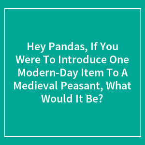Hey Pandas, If You Were To Introduce One Modern-Day Item To A Medieval Peasant, What Would It Be?