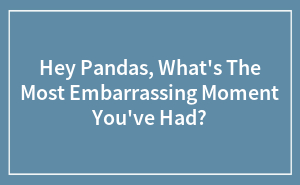 Hey Pandas, What's The Most Embarrassing Moment You've Had? (Closed)