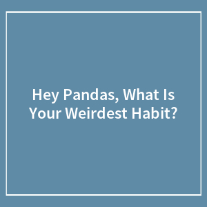 Hey Pandas, What Is Your Weirdest Habit? (Closed)