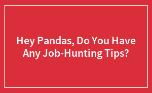 Hey Pandas, Do You Have Any Job-Hunting Tips? (Closed)