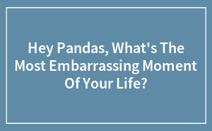 Hey Pandas, What's The Most Embarrassing Moment Of Your Life? (Closed)