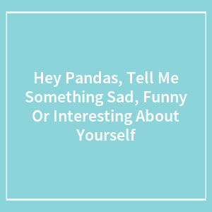Hey Pandas, Tell Me Something Sad, Funny Or Interesting About Yourself (Closed)