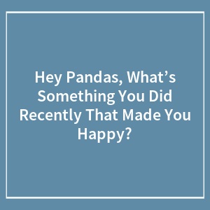 Hey Pandas, What’s Something You Did Recently That Made You Happy? (Closed)