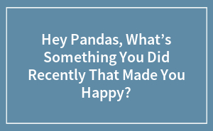 Hey Pandas, What’s Something You Did Recently That Made You Happy? (Closed)