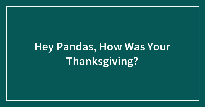 Hey Pandas, How Was Your Thanksgiving? (Closed)
