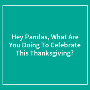 Hey Pandas, What Are You Doing To Celebrate This Thanksgiving? (Closed)