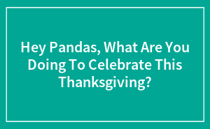 Hey Pandas, What Are You Doing To Celebrate This Thanksgiving? (Closed)