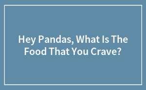 Hey Pandas, What Is The Food That You Crave?