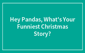 Hey Pandas, What's Your Funniest Christmas Story?