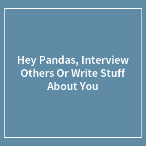 Hey Pandas, Interview Others Or Write Stuff About You