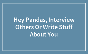 Hey Pandas, Interview Others Or Write Stuff About You
