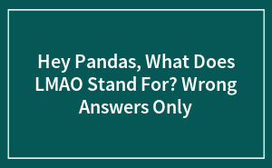 Hey Pandas, What Does LMAO Stand For? Wrong Answers Only