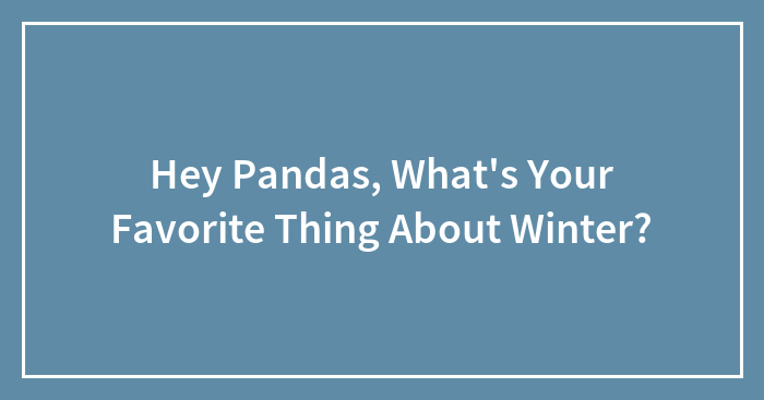 Hey Pandas, What’s Your Favorite Thing About Winter?