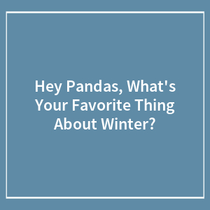 Hey Pandas, What's Your Favorite Thing About Winter?