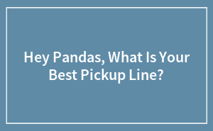 Hey Pandas, What Is Your Best Pickup Line?