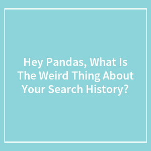 Hey Pandas, What Is The Weird Thing About Your Search History?