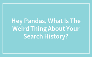 Hey Pandas, What Is The Weird Thing About Your Search History? (Closed)