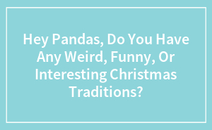 Hey Pandas, Do You Have Any Weird, Funny, Or Interesting Christmas Traditions?