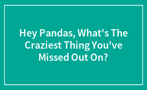Hey Pandas, What's The Craziest Thing You've Missed Out On? (Closed)