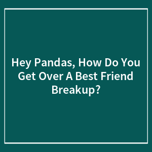 Hey Pandas, How Do You Get Over A Best Friend Breakup?