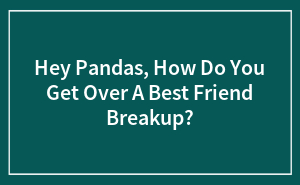 Hey Pandas, How Do You Get Over A Best Friend Breakup?