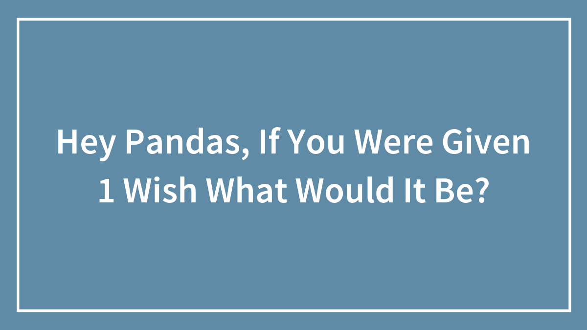Hey Pandas, If You Were Given 1 Wish What Would It Be?