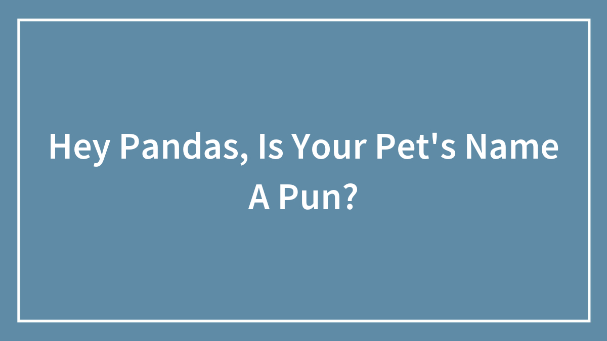 Hey Pandas, Is Your Pet’s Name A Pun? (Closed)