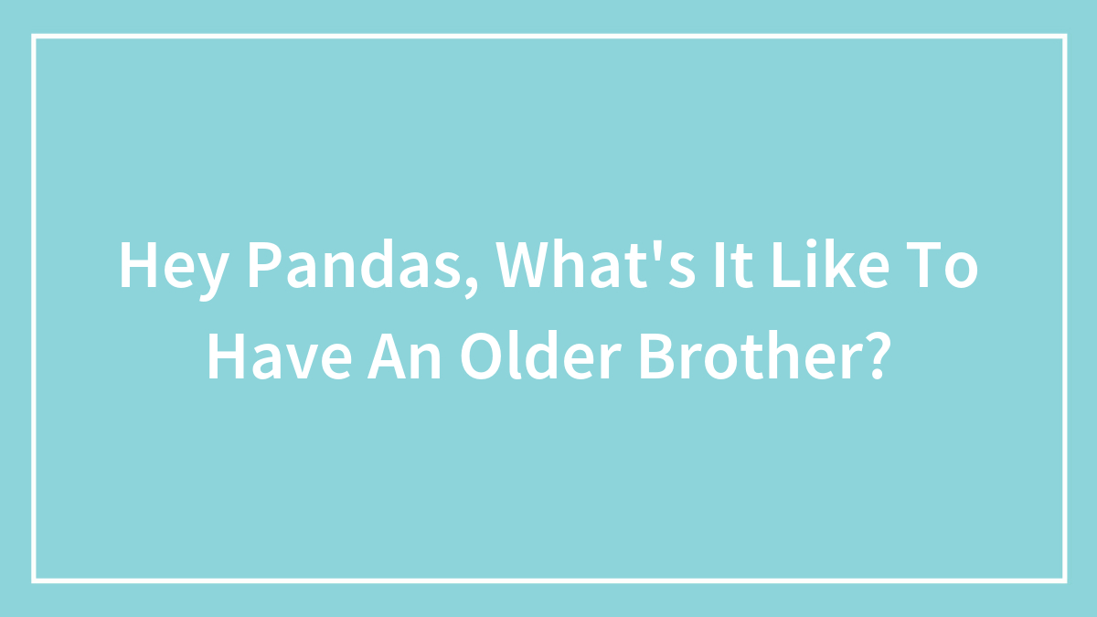 Hey Pandas, What’s It Like To Have An Older Brother?