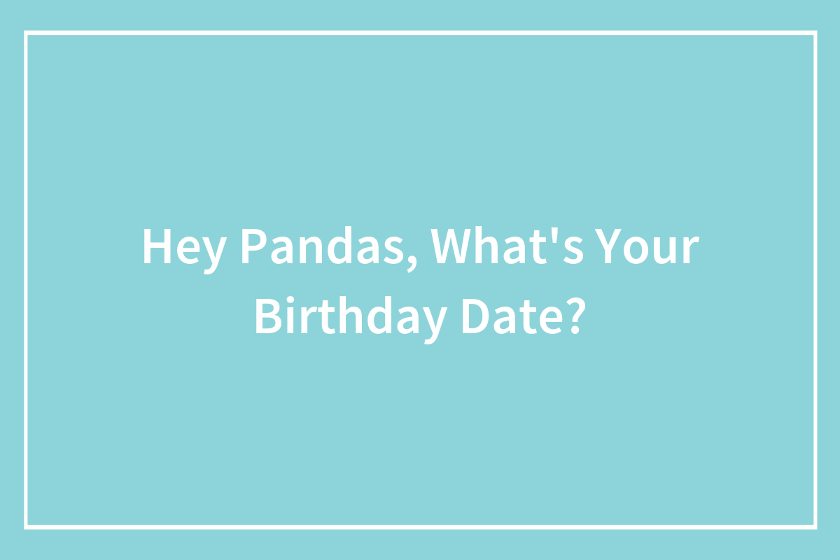 Hey Pandas, What’s Your Birthday Date? (Closed) | Bored Panda
