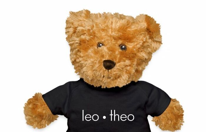 Teddy Bears Wearing Leo Theo T-Shirts (11 Pics)