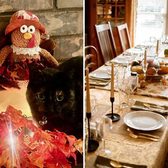 Hey Pandas, Share Your Thanksgiving Decorations (Closed)