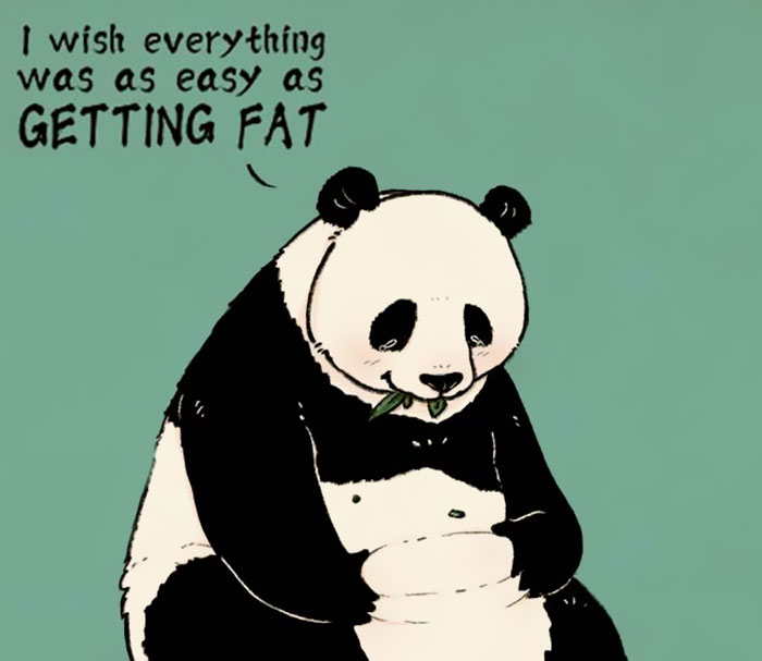 16 Relatable Illustrations Of A Middle-Aged Panda Dealing With Everyday Challenges Like You And Me (New Pics)