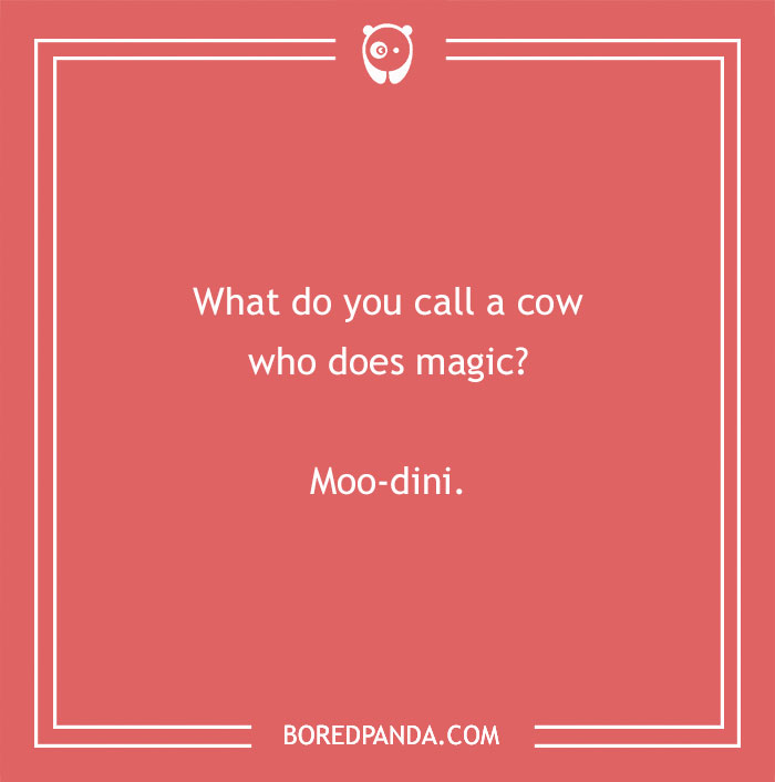 Cow pun joke with the question What do you call a cow who does magic and the answer Moo-dini on red background.