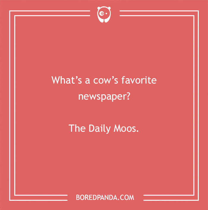 Cow pun joke on a red background asking about a cow’s favorite newspaper called The Daily Moos.
